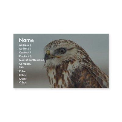 Rough-legged Hawk