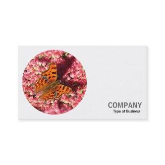 Round Photo - Comma Butterfly on Sedum