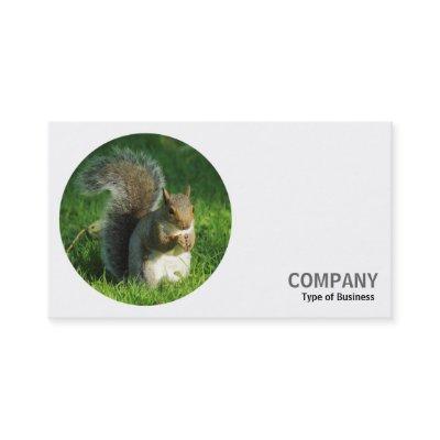 Round Photo - Grey Squirrel 02