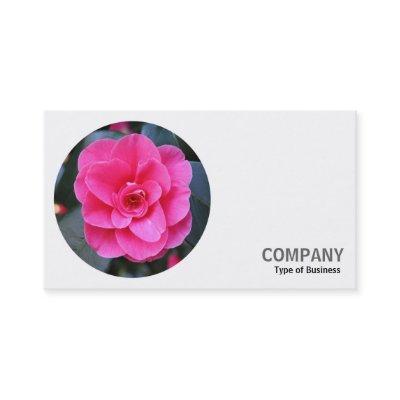 Round Photo - Pink Camellia