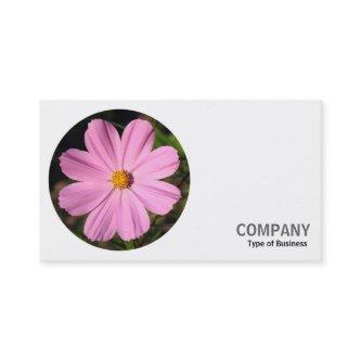 Round Photo - Pink Cosmos