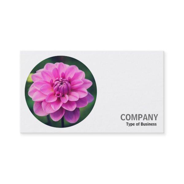 Round Photo - Pink Dahlia