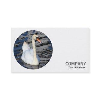Round Photo - Swan