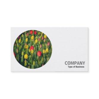 Round Photo - Tulips