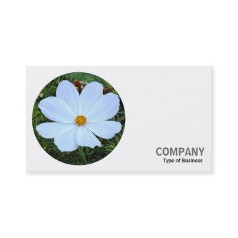 Round Photo - White Cosmos