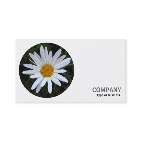 Round Photo - White Daisy 03