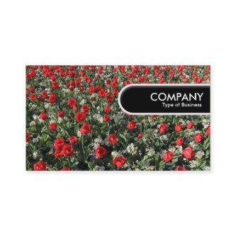Rounded Edge Tag - Red Tulips and Primroses