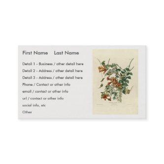 Ruby-throated Humming Bird, Audubon Birds America