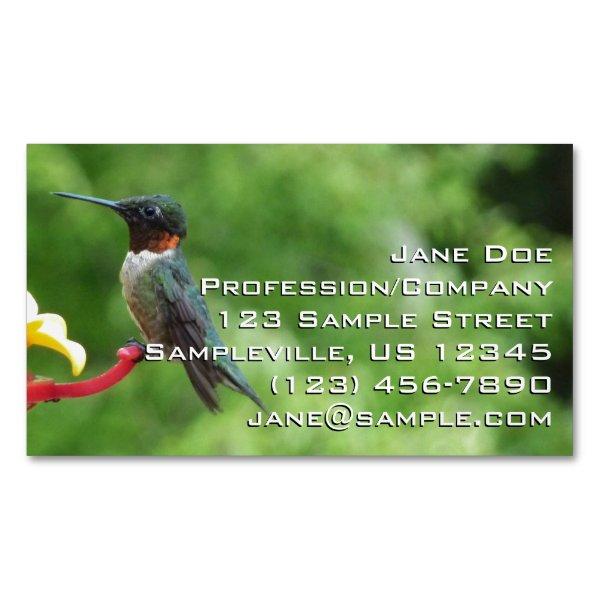 Ruby-Throated Hummingbird Bird Photography  Magnet
