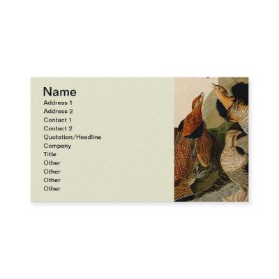 Ruffed Grouse Audubon Game Bird