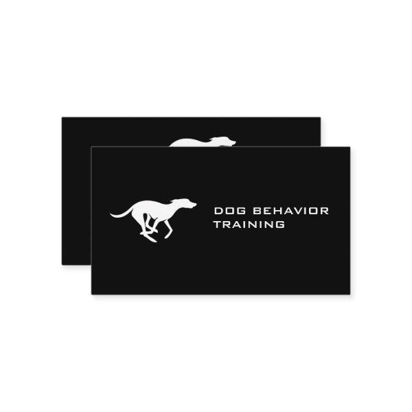 Running Dog | Animal Trainer