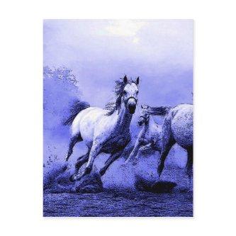 Running Horses & Blue Moonlight Postcard