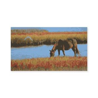 Rustic Country Horse Grazing
