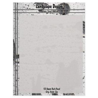 Rustic Texture White Aspen Tree Bark Photograph Letterhead