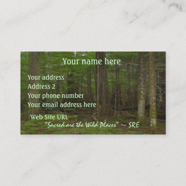 "SACRED FOREST" Nature Photo Art Profile cards