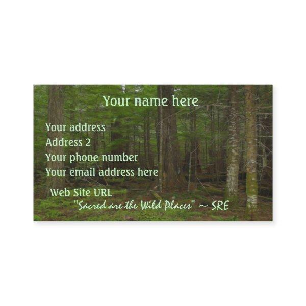 "SACRED FOREST" Nature Photo Art Profile cards