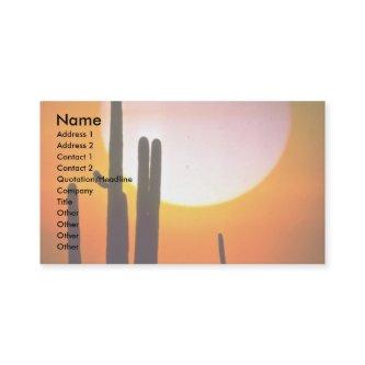 Saguaro cactus, Sonoran Desert, U.S.A. Desert