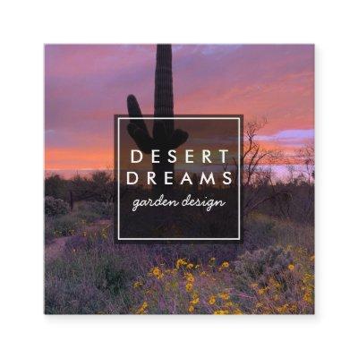 Saguaro Sunset Desert Garden Photo Travel Tourism Square