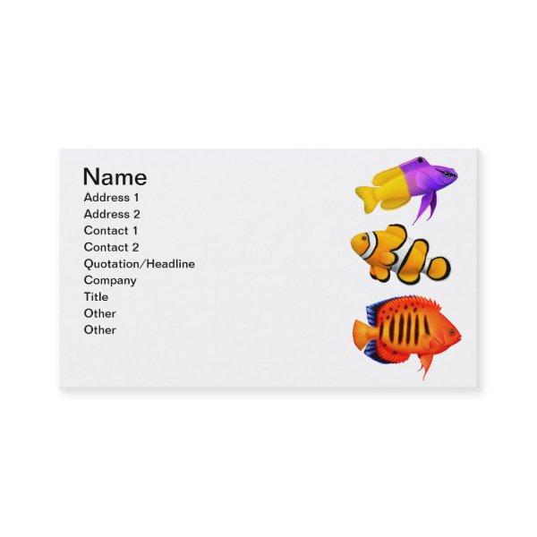 Saltwater Tropical Fish Customizable