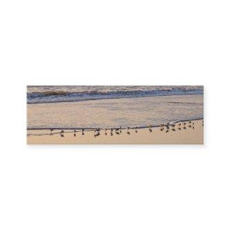 Sand Pipers nibbling breakfast in the waves Mini