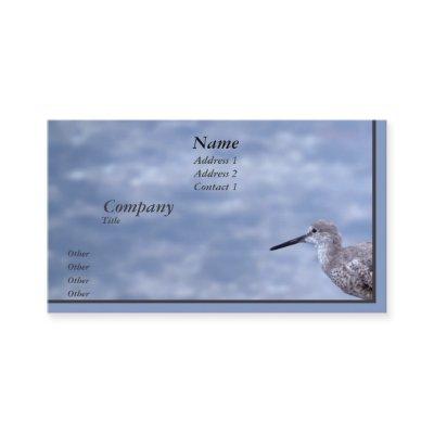 Sandpiper