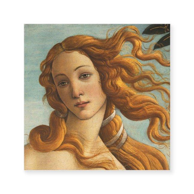 Sandro Botticelli Birth Of Venus Square