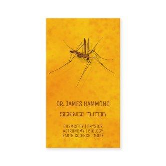 Science Private Tutor Mosquito in Amber Fossil