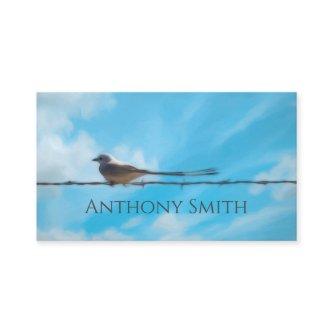 scissortail flycatcher bird nature blue sky custom