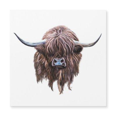 Scottish Highland Cow In Colour