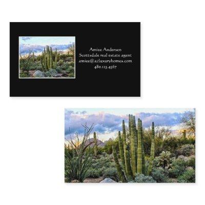 Scottsdale Succulent Sunset