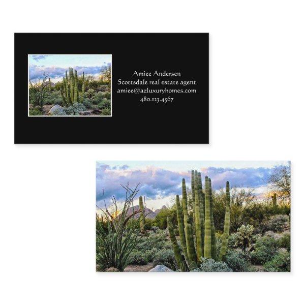 Scottsdale Succulent Sunset