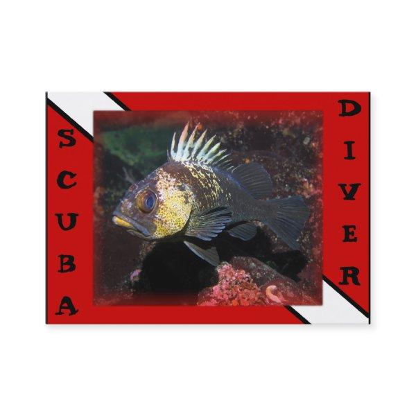 Scuba Diver Rockfish