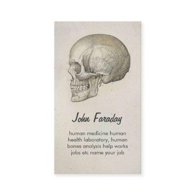 scull human head and bones