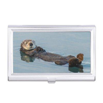 Sea otter floating on back in ocean  holder
