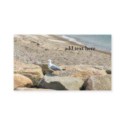 seagull on rocks by a beach