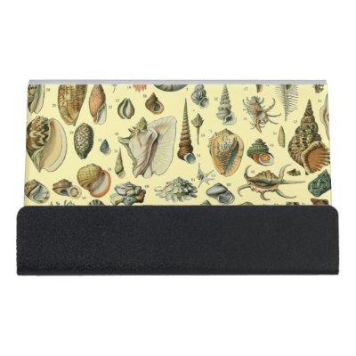 Seashell Shell Mollusk Clam Elegant Classic Art Desk  Holder
