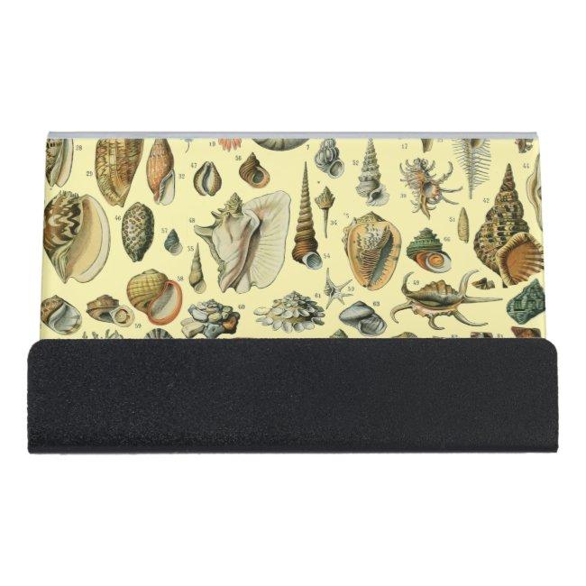 Seashell Shell Mollusk Clam Elegant Classic Art Desk  Holder