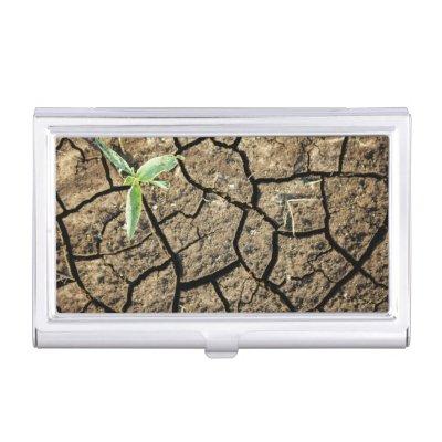 Seedling In Cracked Earth  Holder