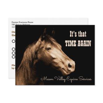 Sepia Toned Horse Appointment Reminder Postcard