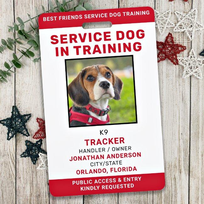 Service Dog In Training ID Card Personalized Photo Badge