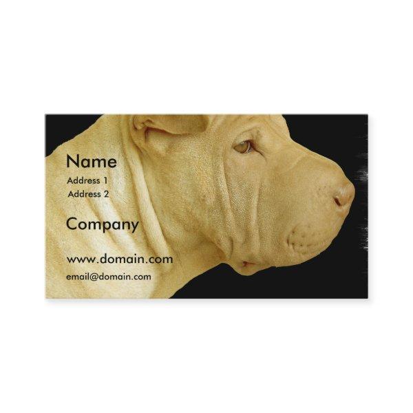 Shar Pei