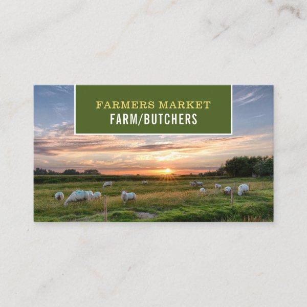 Sheep in Field, Farmer & Butcher