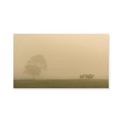 Sheep in Fog