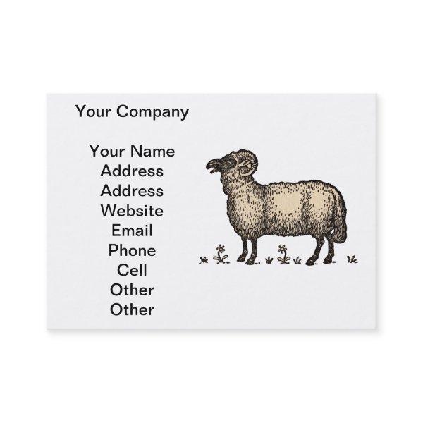 Sheep Lamb Farm Animal Vintage