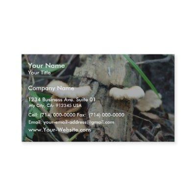 Shelf Mushroom