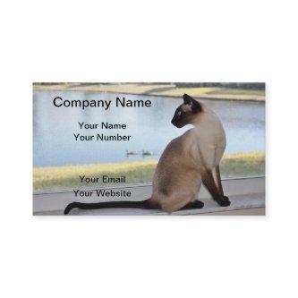 Siamese Cat