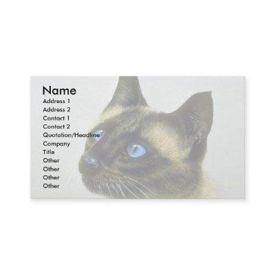 Siamese (head study)