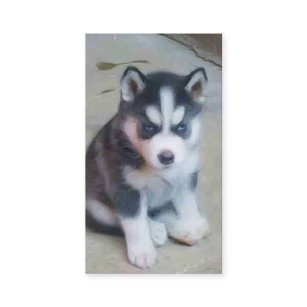 Siberian Husky puppy Art
