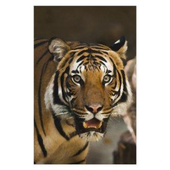 Siberian Tiger Stationery