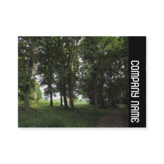 Side Band - Woods, Bute Park Cardiff